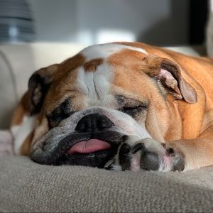 Meet your Posher, Mike